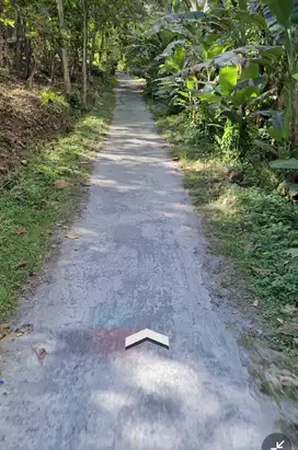 Super Murah Tanah 2 Hektar  dekat RSUD Wates