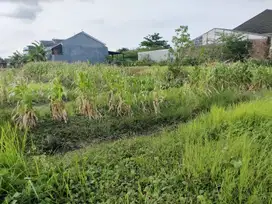 Dijual Tanah Lokasi Strategis Di Jl. Graha Mukti Tlogomulyo Semarang