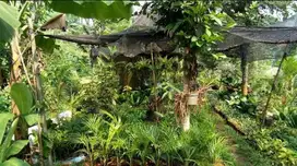 Dijual Tanah Di Bedahan Sawangan Depok