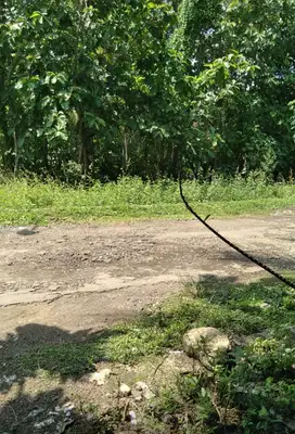 Tanah  Murah depan mata jalan dekat arah Bandara YIA