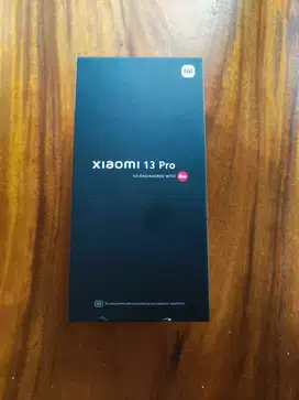 Xiaomi 13 Pro Flagship
