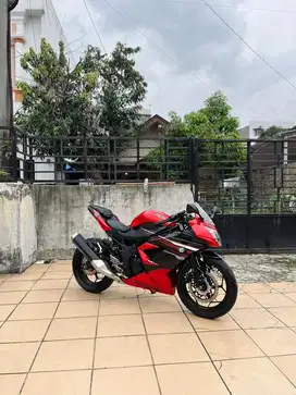 Ninja Mono 250 CC Abs