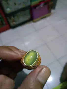 Bacan Doko giwang cokmer