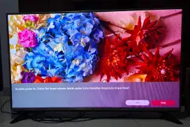 TV LG 49 Inch Digital
