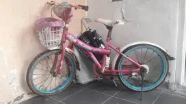Sepeda Anak Cocok buat Anak Cewek Perempuan