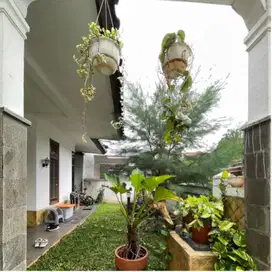 DIJUAL RUMAH LEBAK BULUS  SIAP HUNI DALAM KOMPLEK LOKASI STRATEGIS