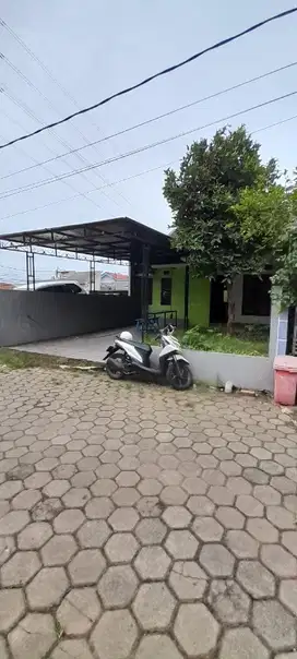 rumahcluster murah