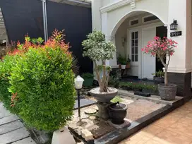 Dijual Rumah di Kota Tegal