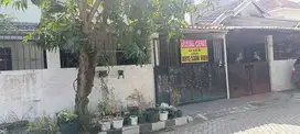 Jual Murah Rumah Siap Tempati di Perum Griya Babatan Mukti VII