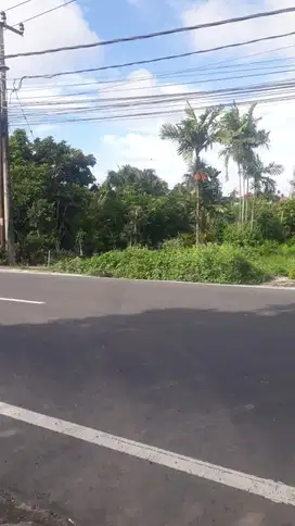 DISEWAKAN TANAH JALAN UTAMA SEDAP MALAM