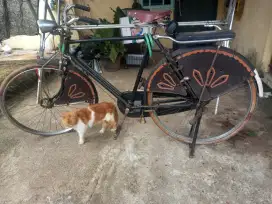 Dijual sepeda ontel phoenix