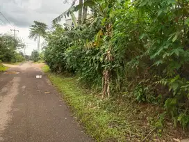 Di Jual Kebun Pinggir Jln Utama