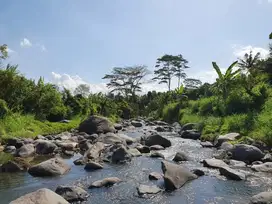 Nego, Tanah los sungai bonus bangunan ex wisata alam, view sawah
