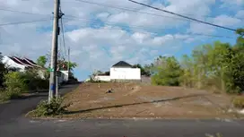 Dijual tanah 4 kavling masing-masing 2are - LSVI