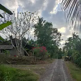 DIJUAL TANAH BUC LALANGLINGGAH TABANAN