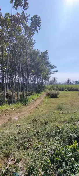 Dijual tanah lokasi pakis malang cocok untuk pabrik atau pergudangan