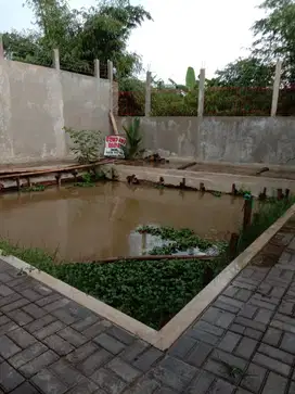 Dijual kolam ikan murah dibelakang Griya Cinunuk