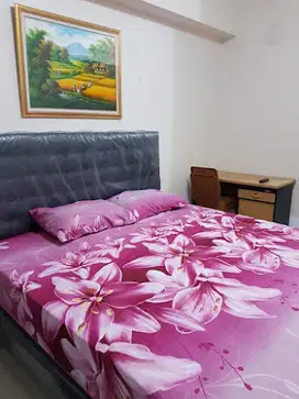 219 - Disewakan Apartemen Gunawangsa Tidar Tower A Lt15 Studio Furnish