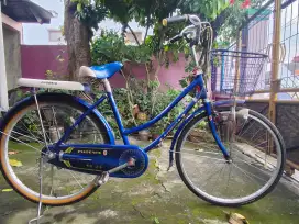 Sepede kranjang Phoenix