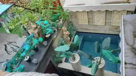 rumah semi villa di nusa dua, furnish, harga murah, dkt tol