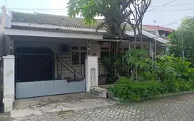 Dijual Rumah Tenggilis Mejoyo Utara 1,5 Lantai Siap Huni Bisa utk Kant