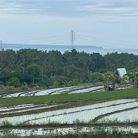 Di jual tanah view sawah ,gunung dan laut di tabanan
