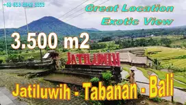 Dijual Lahan 3,500 m2 Pinggir Jalan Aspal Hotmix