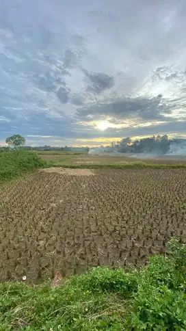 Dijual Tanah Padat Sawah Di Legok Tangerang