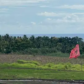 Di jual tanah view sawah ,gunung dan laut di tabanan