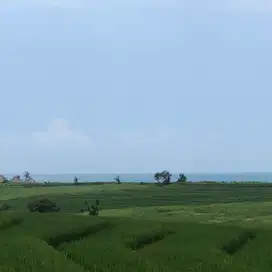 tanah di kawasan villa deket pantai view sawah dan pantai