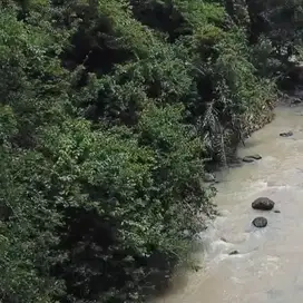 Tanah di jalan pantai klecung tabanan los sungai