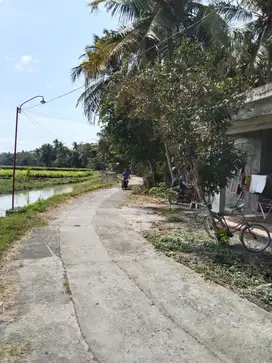 Tanah Pekarangan 700m Lendah kulon progo