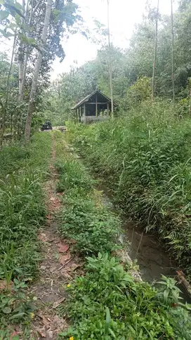 tanah murah di wisata