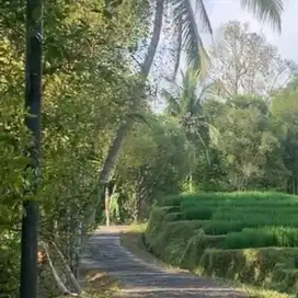 Di jual tanah los sungai air terjun di tabanan bali
