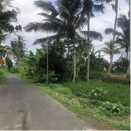 Tanah murah luasan kecil memiliki pemadangan sawah