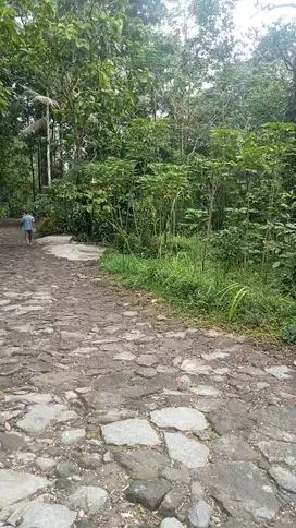 tanah murah di wisata xurang