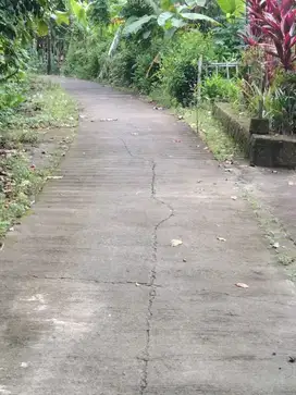 Tanah Pekarangan 1379m2 Lendah Kulon Progo