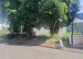 Tanah Tembalang Graha Estetika Undip