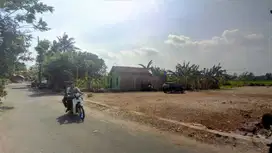Tanah di jejeran Bantul selatan Terminal Giwangan Jogja