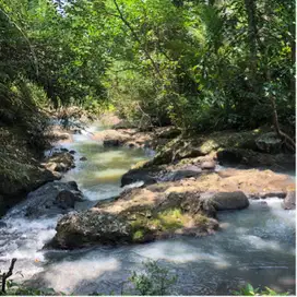 Tanah Kebun langsung sungai di Komplek Villa Desa wisata