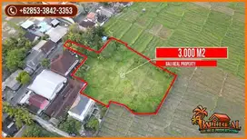 Closed to Monkey Forest Ubud Center 3,000 m2 Land in Lodtunduh