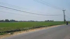 Murah Tanah Ciparay Jalan Bojong Blok Bojong
