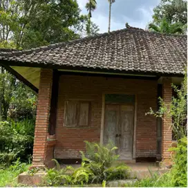 Di jual tanah beserta bangunan view sawah di tabanan bali