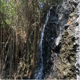 Tanah Kebun Los sungai air terjun di tabanan