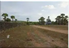 Timor raya kel oebelo kupang tengah ntt