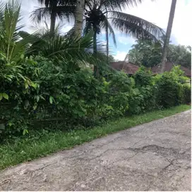 Tanah cocok untuk gudang atau rumah tinggal dekat jalan utama