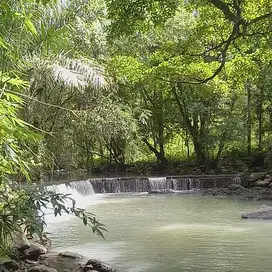Di jual tanah kebun manggis dan duren langsung sungai di tabanan