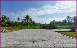 Tanah Murah di Pengasih, Lokasi Ideal untuk Rumah