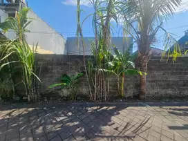 Tanah Canggu Cocok Untuk Villa