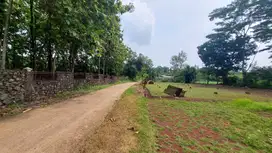 Tanah Murah Deket Jl BOMANG Tajurhalang